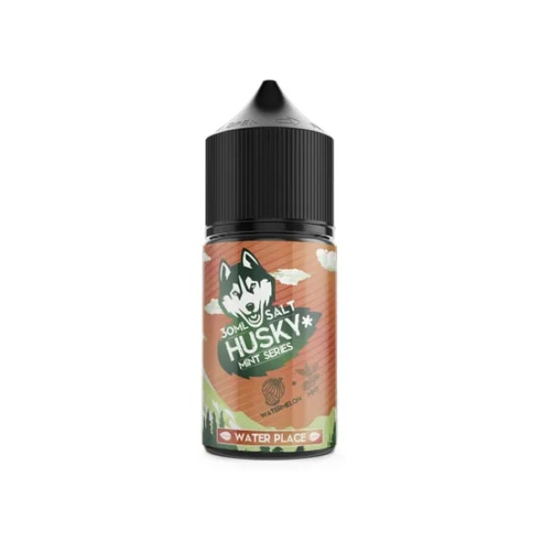 Жидкость Husky salt Mint series Water Place (Арбуз холодок) (30 мл, 20 мг/мл) в Луганске