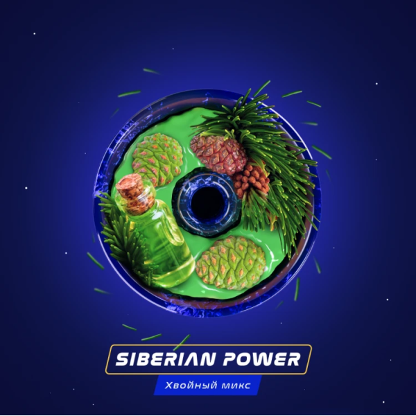 Паста Space Smoke BASIC Siberian Power (Хвоя Сосна Пихта) 30 гр в Луганске